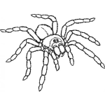 Dibujo para colorear Dibujo De Tarantula Venenosa Para Colorear