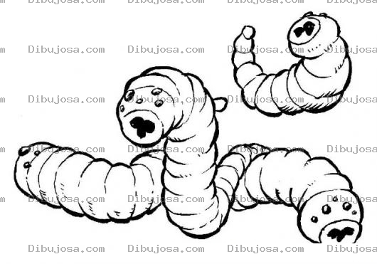 Dibujo para colorear Dibujo De Gusanos Succionadores Para Pintar Y Colorear