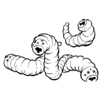 Dibujo para colorear Dibujo De Gusanos Succionadores Para Pintar Y Colorear