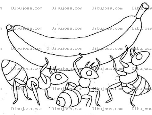 Dibujo para colorear Dibujo De 3 Hormigas Cargando Un Banano Para Pintar Y Colorear