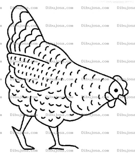 Dibujo para colorear Gallina Buscando Comida Para Pintar Y Colorear