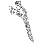 Dibujo para colorear Dibujo De Un Quetzal Para Pintar Online