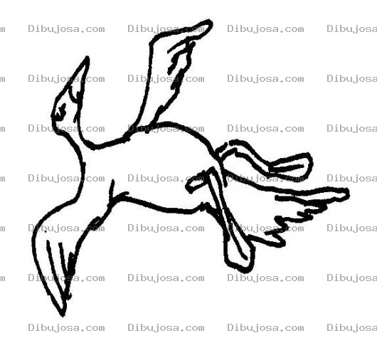 Dibujo para colorear Dibujo De Pajaro Muerto Para Colorear