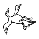 Dibujo para colorear Dibujo De Pajaro Muerto Para Colorear