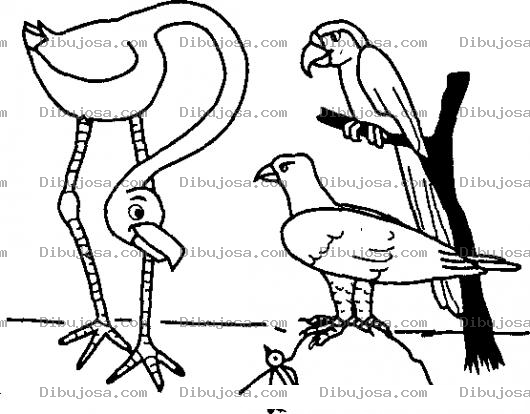 Dibujo para colorear Aves Distintas Dibujo De Un Flamingo Con Un Loro Un Aguila Y Un Pajarito Para Pintar Y Colorear
