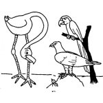 Dibujo para colorear Aves Distintas Dibujo De Un Flamingo Con Un Loro Un Aguila Y Un Pajarito Para Pintar Y Colorear