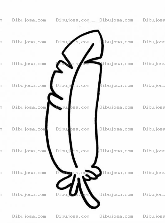 Dibujo para colorear Dibujo De Una Pluma De Pajaro Para Pintar Y Colorear