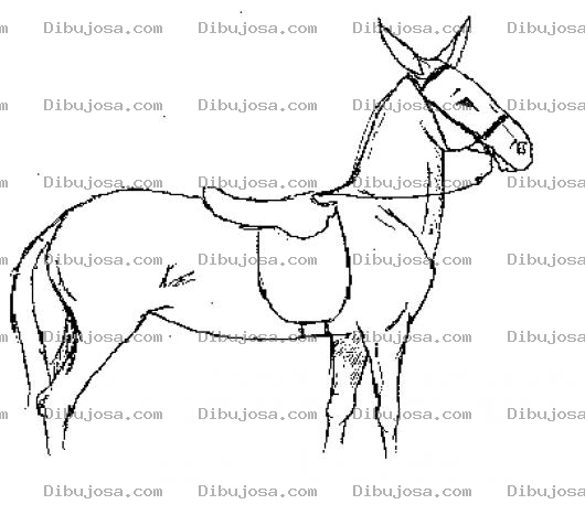 Dibujo para colorear Dibujo De Burro Ensillado Para Colorear
