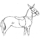 Dibujo para colorear Dibujo De Burro Ensillado Para Colorear