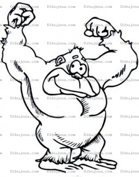 Dibujo para colorear Mono Musculoso Para Pintar Y Colorear