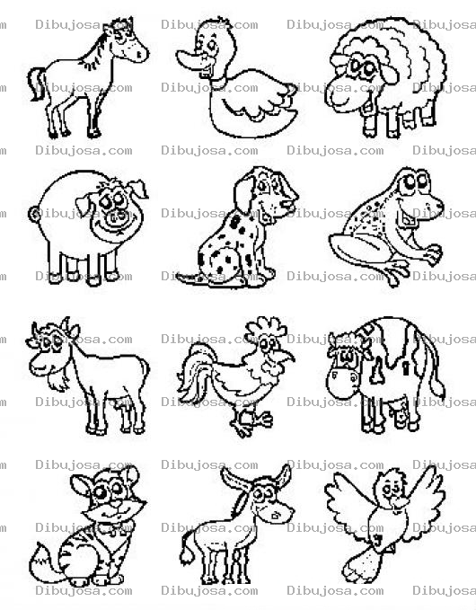 Dibujo para colorear Dibujo De Animalitos Para Colorear