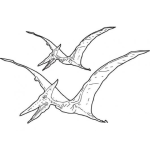 Dibujo para colorear Colorear Terodactilos