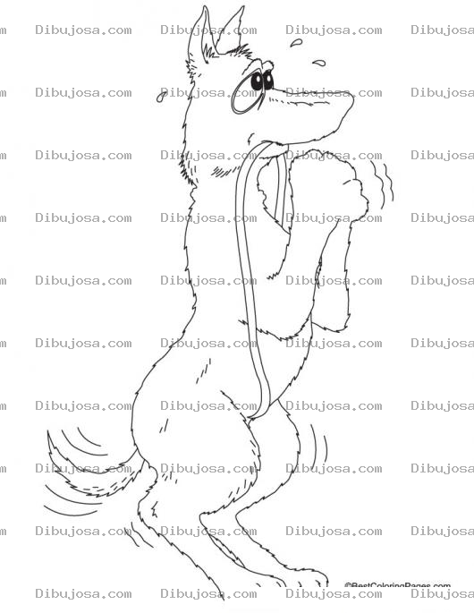 Dibujo para colorear Perro Suplicando Por Un Paseo Para Pintar Y Colorear