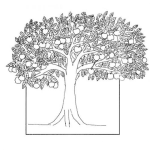 Dibujo para colorear Dibujo De Arbol De Manzanas Para Colorear