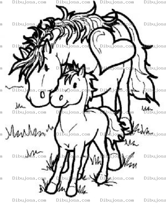 Dibujo para colorear Colorear Yegua y Potrillo