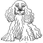 Dibujo para colorear Dibujo De Perro Cocker Para Pintar Y Colorear