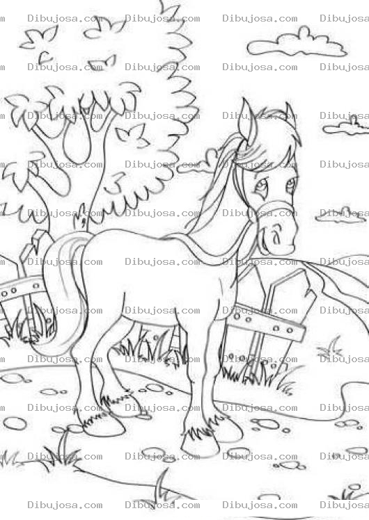 Dibujo para colorear Dibujo De Caballo En Finca Para Pintar Y Colorear