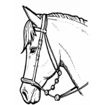 Dibujo para colorear Dibujo De Cabeza De Caballo Para Colorear