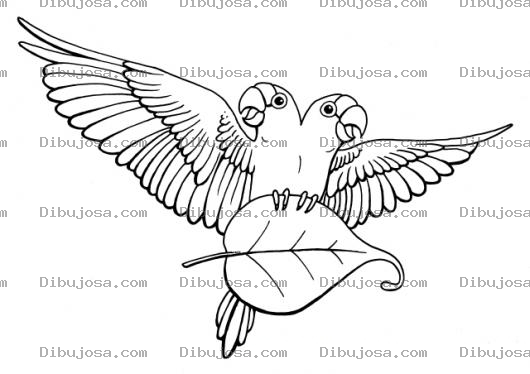 Dibujo para colorear Loro De Dos Cabezas Para Pintar Y Colorear
