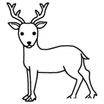 Dibujo para colorear Dibujo De Un Reno Para Pintar Y Colorear