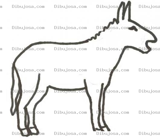 Dibujo para colorear Dibujo De Un Burro Parado Para Pintar Y Colorear