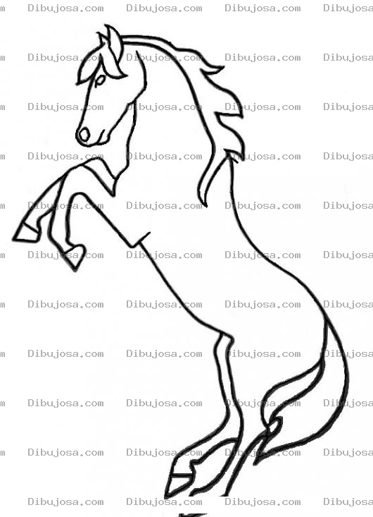 Dibujo para colorear Dibujo De Caballo Parado En Dos Patas Para Pintar Y Colorear