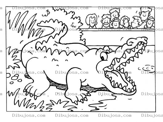 Dibujo para colorear Dibujo De Un Lagarto En El Zoologico Para Pintar Y Colorear Un Cocodrilo