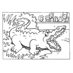 Dibujo para colorear Dibujo De Un Lagarto En El Zoologico Para Pintar Y Colorear Un Cocodrilo