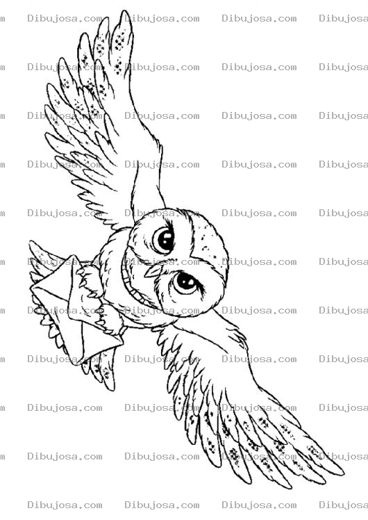 Dibujo para colorear Buho Mensajero Dibujo D Euna Lechuza Con Un Sobre Para Colorear