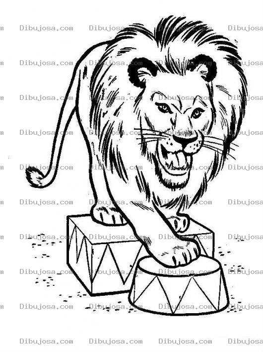 Dibujo para colorear Leon De Circo Dibujo De Leon En Circo Para Pintar Y Colorear