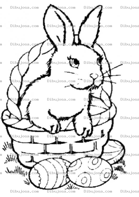 Dibujo para colorear Conejo Encanastado Para Pintar Y Colorear