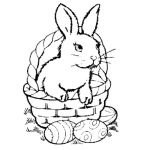 Dibujo para colorear Conejo Encanastado Para Pintar Y Colorear