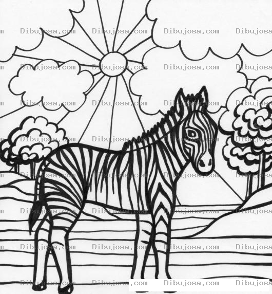 Dibujo para colorear Dibujo D Euna Cebra Para Colorear Y Pintar