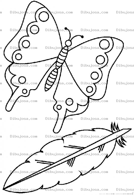 Dibujo para colorear Dibujo De Mariposa Y Pluma Para Pintar Y Colorear