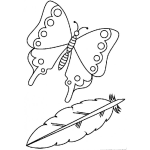 Dibujo para colorear Dibujo De Mariposa Y Pluma Para Pintar Y Colorear