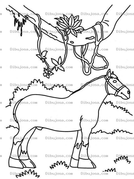 Dibujo para colorear Colorear Caballo De Patas Gruesas