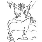 Dibujo para colorear Colorear Caballo De Patas Gruesas