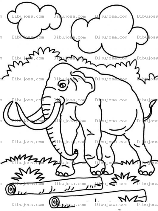 Dibujo para colorear Dibujo De Elefantes Con Colmillos De Marfil Para Pintar Y Colorear