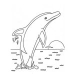 Dibujo para colorear Dibujo D Eun Delfin Saltando En El Mar Para Pintar Y Colorear