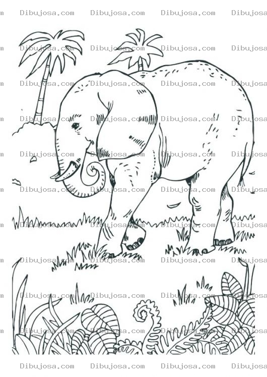 Dibujo para colorear Dibujo De Elefante En Africa Para Pintar Y Colorear