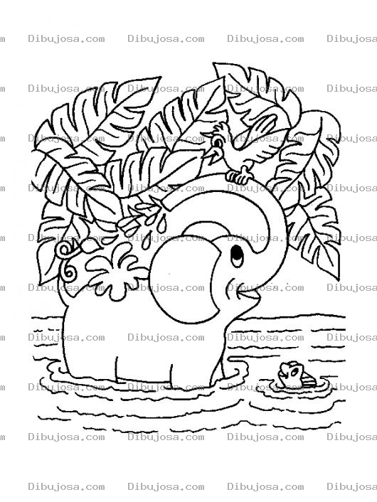 Dibujo para colorear Dibujo De Elefante En El Agua Tomando Un Chapuzon Para Pintar Y Colorear
