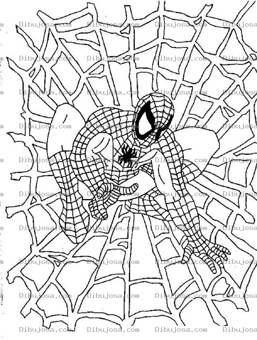 Dibujo para colorear Colorear Al Hombre Arana En Su Tela De Arana