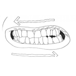 Dibujo para colorear Rechinar Los Dientes Durmiendo Es Una Enfermedad Llamada Bruxismo Dibujo De Brooksismo Para Pintar Y Colorear