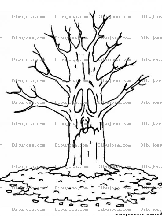 Dibujo para colorear Arbol Sin Hojas Para Pintar Y Colorear El Otono