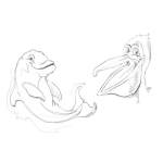 Dibujo para colorear Dibujo De Delfin Y Gabiota Para Pintar Y Colorear