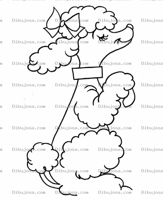 Dibujo para colorear Dibujo De Una Perrita Educada Para Pintar Y Colorear