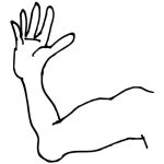 Dibujo para colorear Colorear Brazo De Atleta