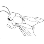 Dibujo para colorear Colorear Abejita