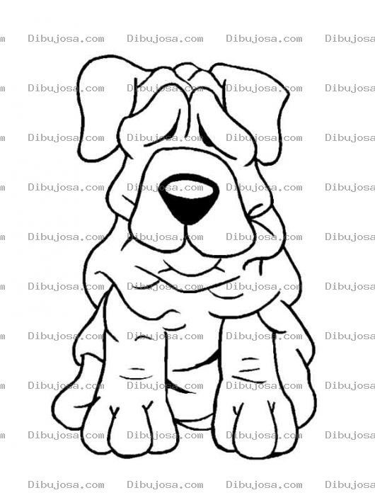 Dibujo para colorear Colorer Perro Shar Pei Chino Pug Con Arrugas