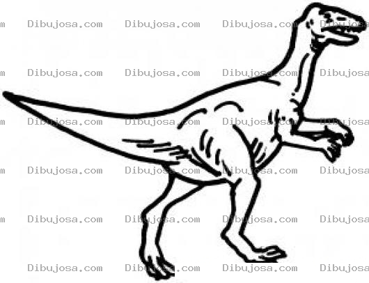 Dibujo para colorear Pintar Dinosaurio Veloz